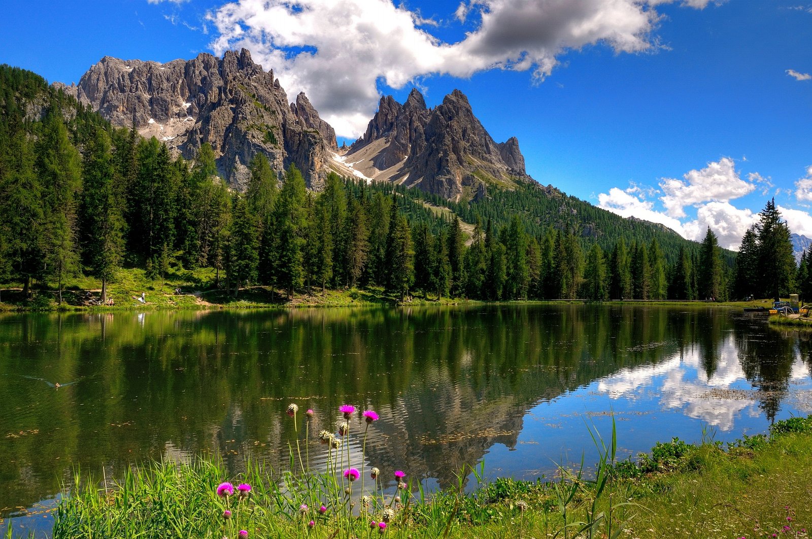 Featured Image full width without Sidebar Featured Image full width without Sidebar
